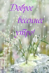 1679200493322.webp
