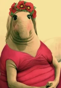 upl_1613597399_193576_q9uz3.webp upl_1613597399_193576_q9uz3.webp