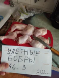 20230324_181035.webp 20230324_181035.webp