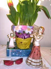 DSCN2579 8 marta 2016.webp