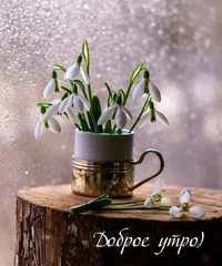 1679974392469.webp