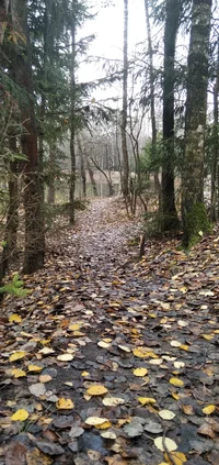 IMG_20221104_112117_1.webp IMG_20221104_112117_1.webp