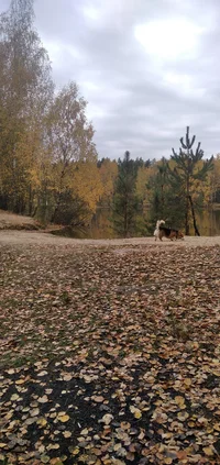 IMG_20221015_120424.webp IMG_20221015_120424.webp