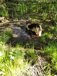 IMG_20220602_090703.webp IMG_20220602_090703.webp