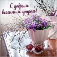 s-dobrym-vesennim-utrom.webp s-dobrym-vesennim-utrom.webp