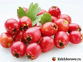 upload_2016-5-4_0-14-58.webp upload_2016-5-4_0-14-58.webp