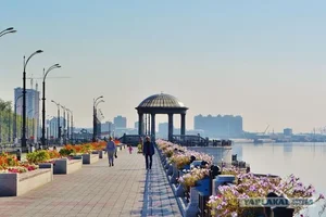 5310822.webp 5310822.webp