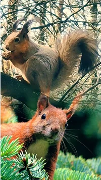 Screenshot_20230413-154913_Photo Lab.webp Screenshot_20230413-154913_Photo Lab.webp