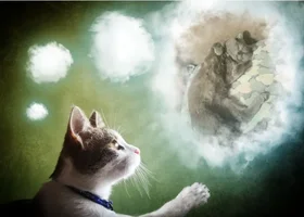 Screenshot_20230415-083943_Photo Lab.webp