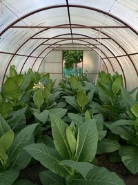 CiF-O9hhDO0 (1).webp