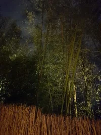 20230419_202815.webp