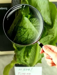 Screenshot_20230421-123021_Gallery.webp Screenshot_20230421-123021_Gallery.webp