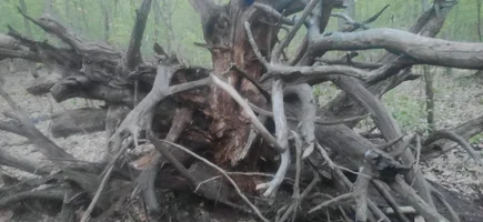 WhatsApp Image 2023-04-28 at 20.49.15.webp WhatsApp Image 2023-04-28 at 20.49.15.webp