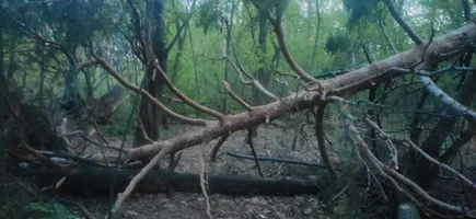 WhatsApp Image 2023-04-28 at 20.49.36.webp WhatsApp Image 2023-04-28 at 20.49.36.webp