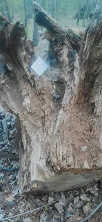 WhatsApp Image 2023-04-28 at 20.50.04.webp WhatsApp Image 2023-04-28 at 20.50.04.webp