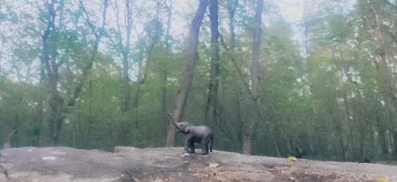 WhatsApp Image 2023-04-28 at 20.50.59.webp WhatsApp Image 2023-04-28 at 20.50.59.webp