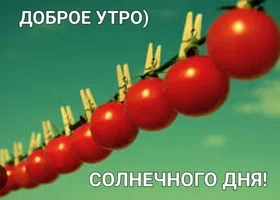 20230506_063244.webp