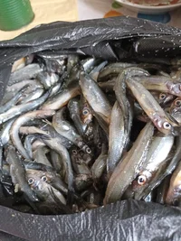 IMG_20230507_135416.webp IMG_20230507_135416.webp