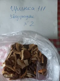 1683616905935.webp 1683616905935.webp