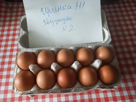 1683617059562.webp 1683617059562.webp