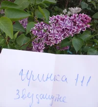 1684388794923.png 1684388794923.png