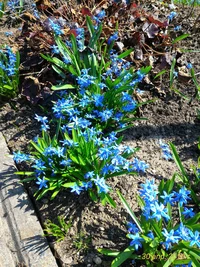 P_20160430_110052_1_p.webp P_20160430_110052_1_p.webp