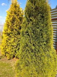 P_20160430_110144_1_p.webp P_20160430_110144_1_p.webp