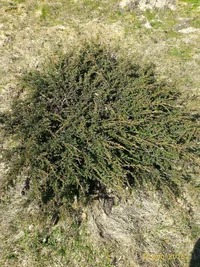 P_20160430_110551_1_p.webp P_20160430_110551_1_p.webp