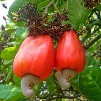 upload_2016-5-7_11-11-58.webp upload_2016-5-7_11-11-58.webp