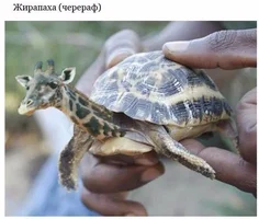 vusy5O_XWvE (1).webp