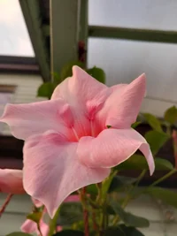 20230525_053419.jpg 20230525_053419.jpg