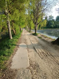 IMG_20230516_053035.jpg IMG_20230516_053035.jpg