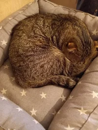 20230528_202648.webp 20230528_202648.webp