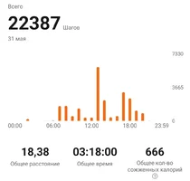 Screenshot_20230531_213632_Zepp Life.jpg