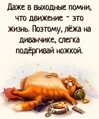 1685853019279.webp 1685853019279.webp