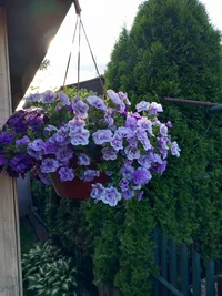 20230615_073726.webp 20230615_073726.webp