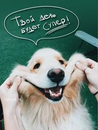 4DF1F419-710B-4552-A374-A0CEC0637106.webp 4DF1F419-710B-4552-A374-A0CEC0637106.webp