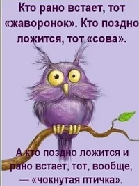 IMG_20230613_170419.webp