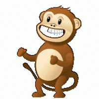 monkey-skype.gif