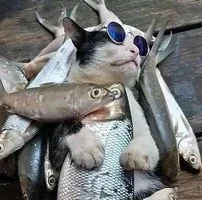 1837880-e4495961c506a7a5bdc8705cdb40557f.webp 1837880-e4495961c506a7a5bdc8705cdb40557f.webp