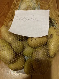 IMG_7136.webp IMG_7136.webp