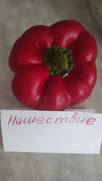 IMG_20230628_171903.webp IMG_20230628_171903.webp