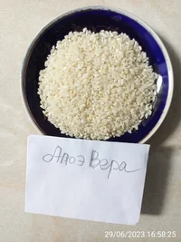 IMG_20230629_165825.webp IMG_20230629_165825.webp