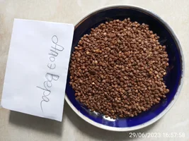 IMG_20230629_165758.webp IMG_20230629_165758.webp