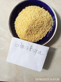 IMG_20230629_165730.webp IMG_20230629_165730.webp