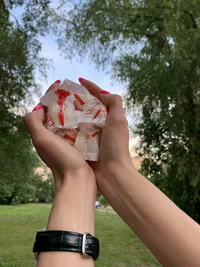 3013755E-3881-4D3D-B73F-EC7BAFA1521C.webp 3013755E-3881-4D3D-B73F-EC7BAFA1521C.webp