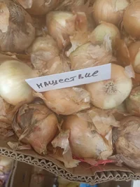 IMG_20230705_130635.webp IMG_20230705_130635.webp