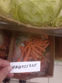 IMG_20230705_130740.webp IMG_20230705_130740.webp