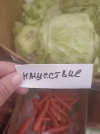 IMG_20230705_130743.webp IMG_20230705_130743.webp