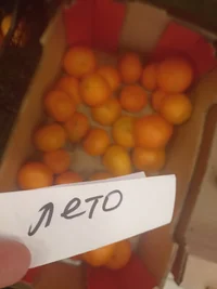 IMG_20230705_130714.webp IMG_20230705_130714.webp